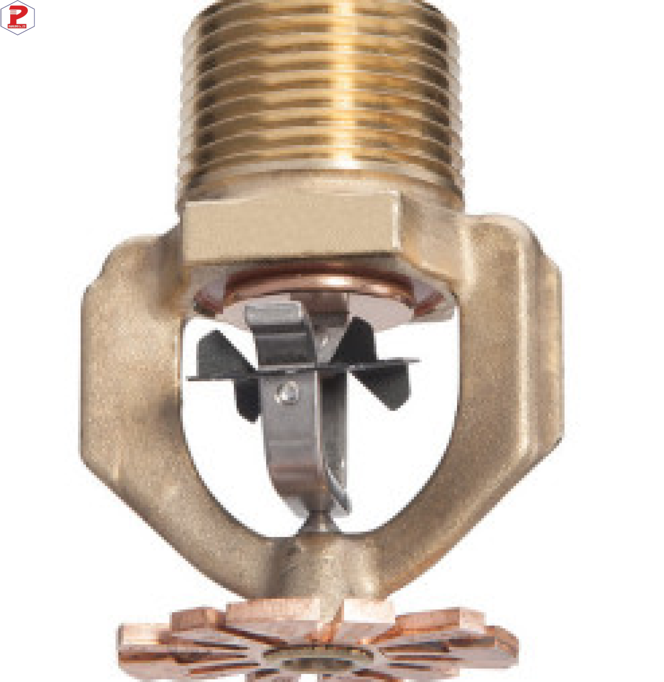 Đầu Phun Xuống Tyco ESFR-17 K16.8