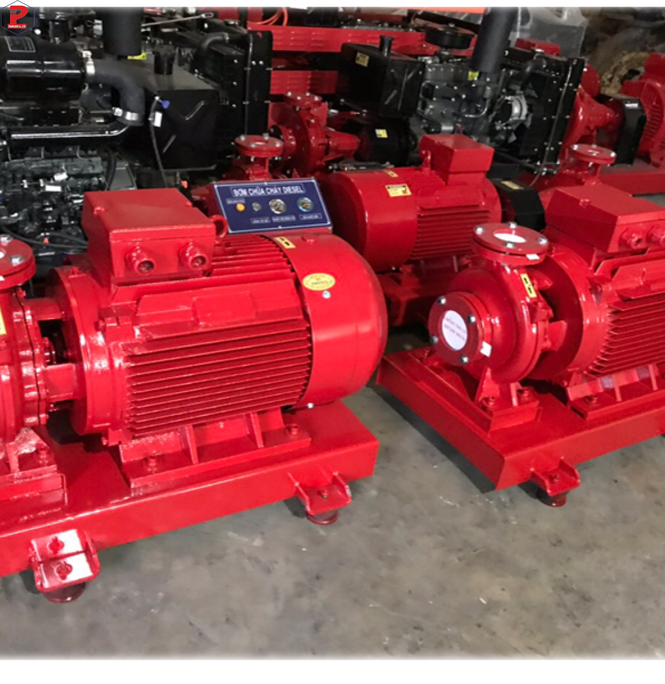 MÁY BƠM ĐIỆN WINDY 55Kw/75HP ĐẦU LIỀN CHÂN ĐẾ